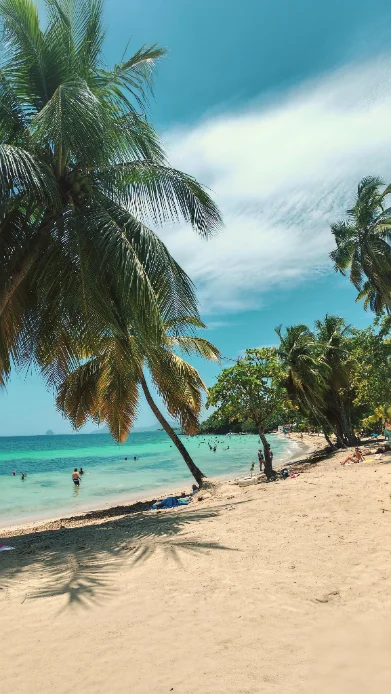 Baie de Martinique